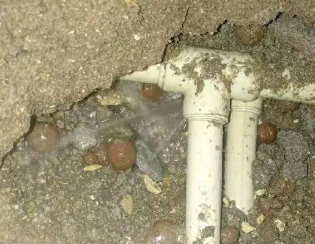 托克托卫生间测漏